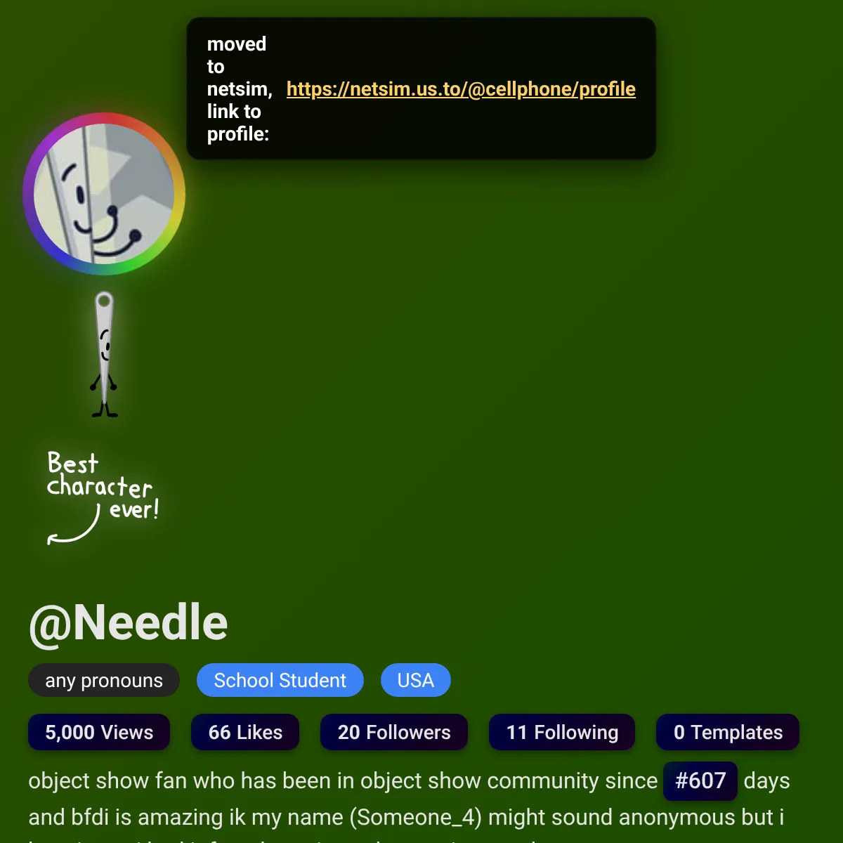 the project is loading