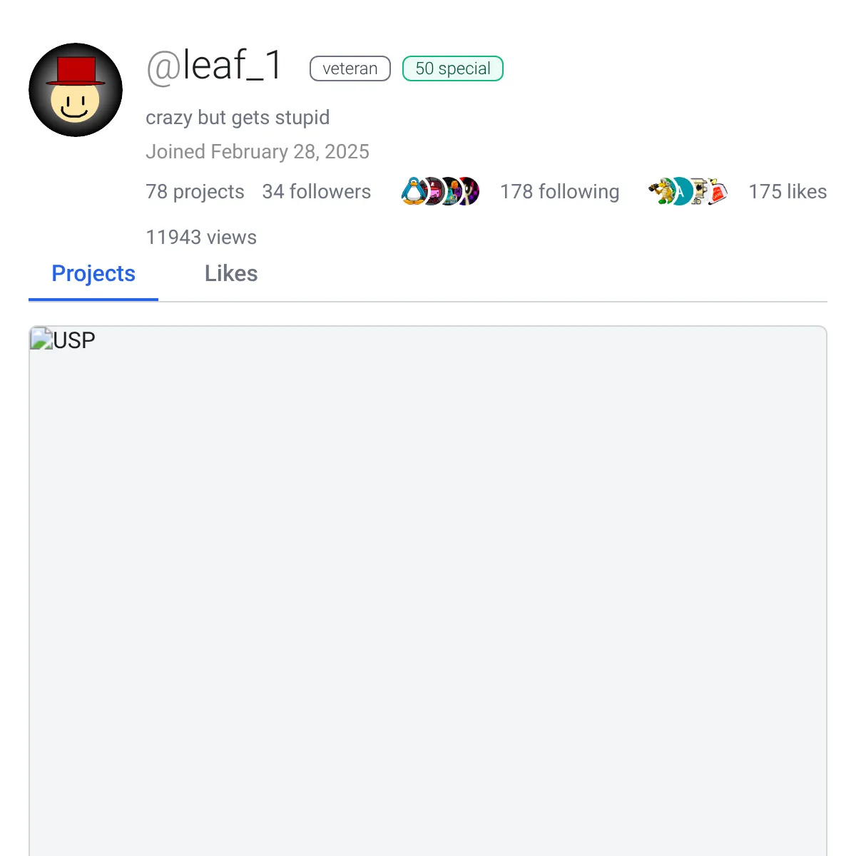the project is loading