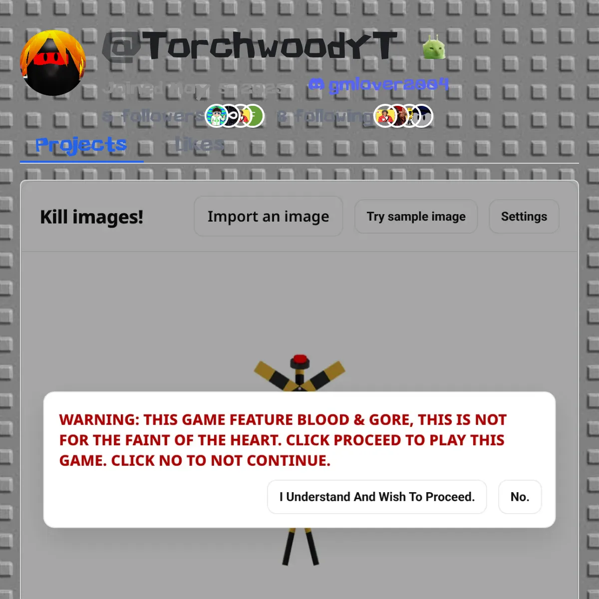 the project is loading