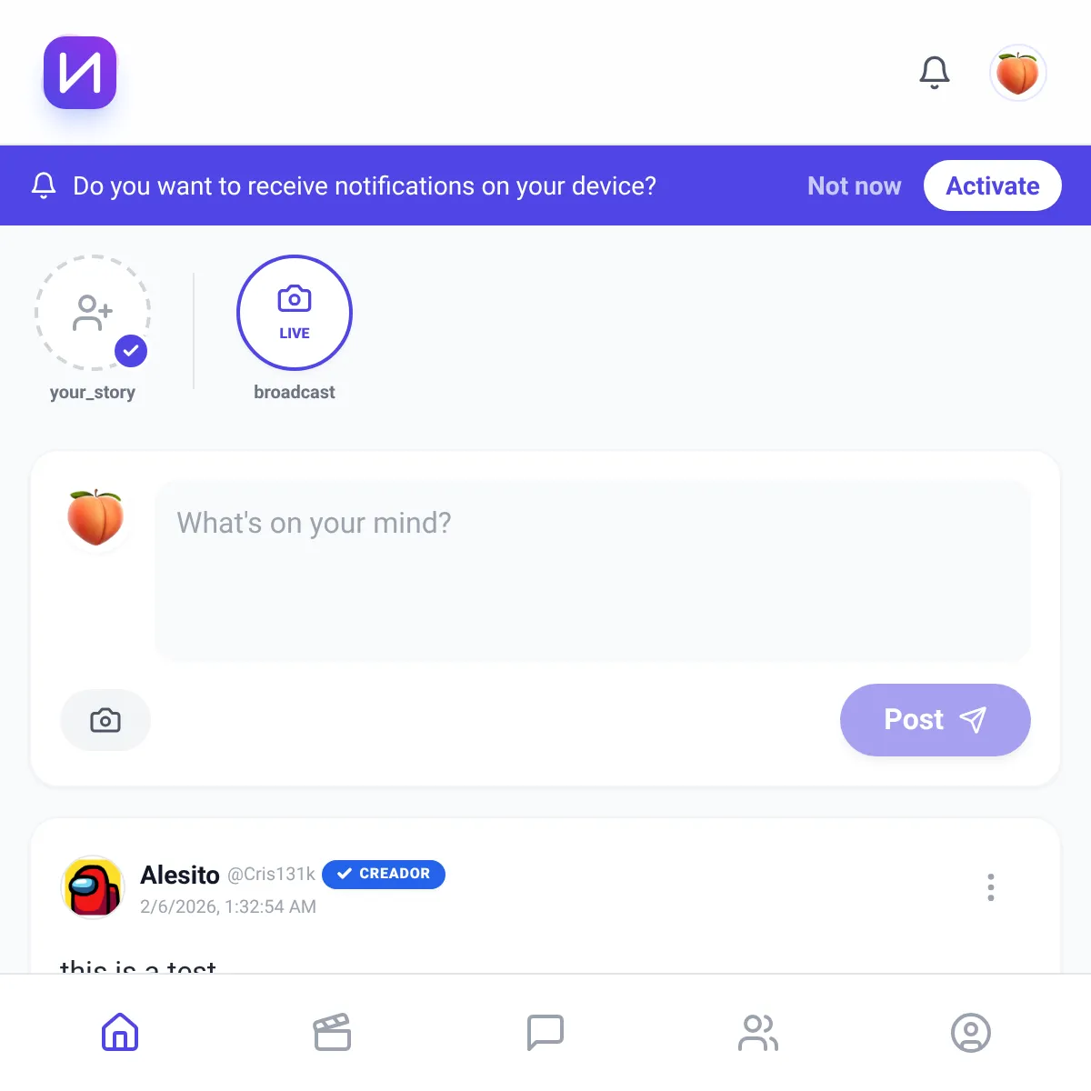 the project is loading