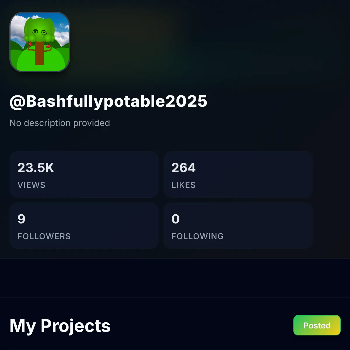 the project is loading