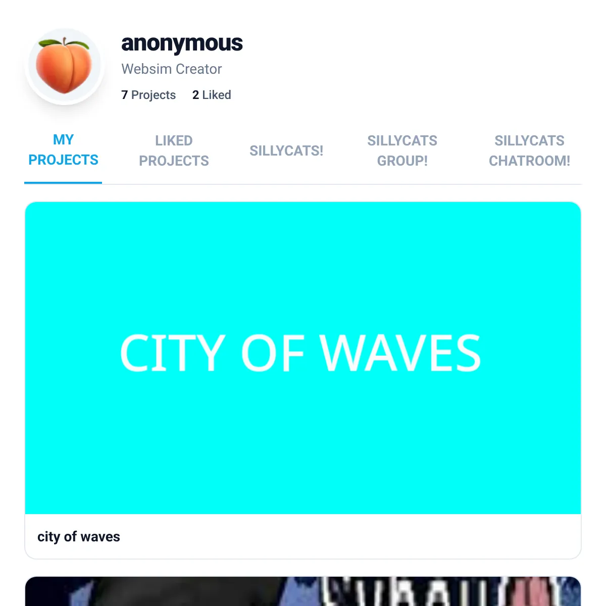 the project is loading