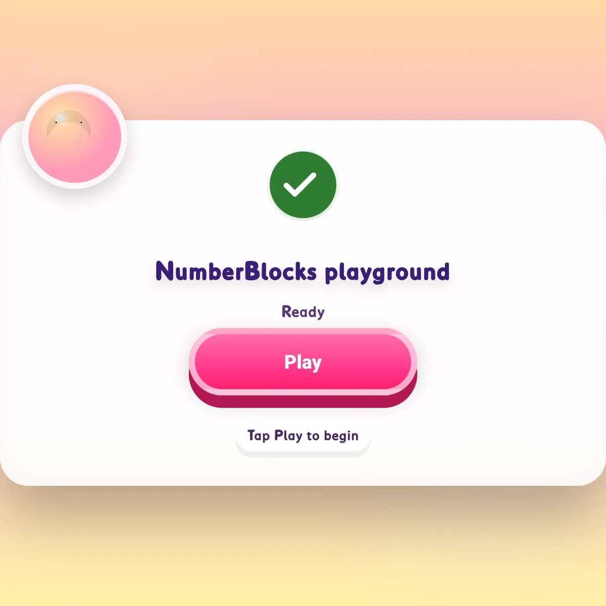 the project is loading