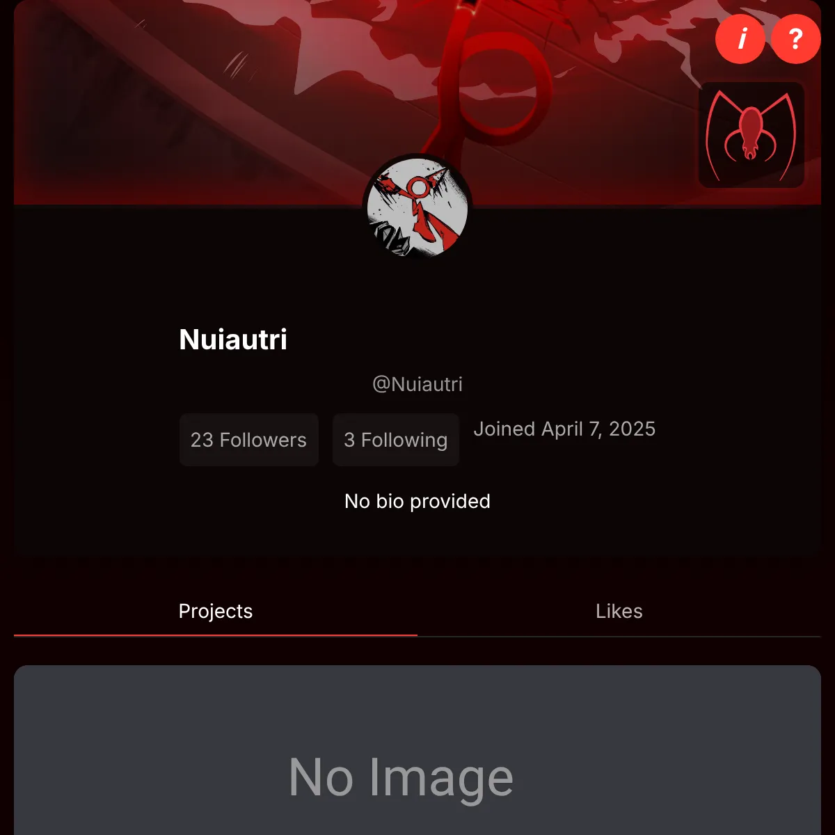 the project is loading