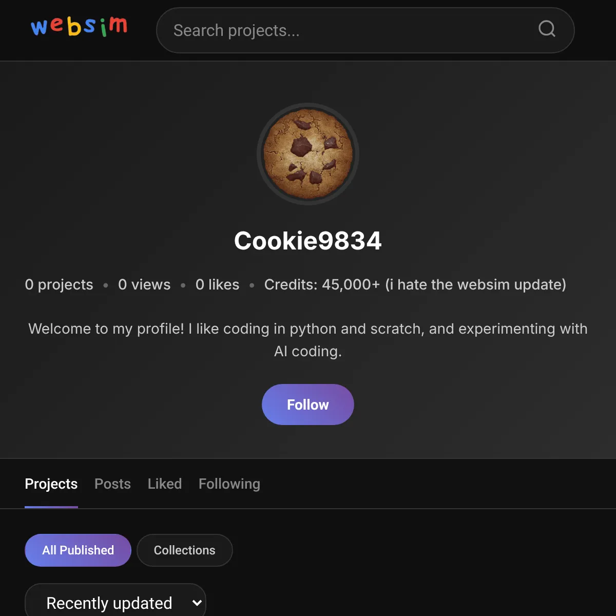 the project is loading