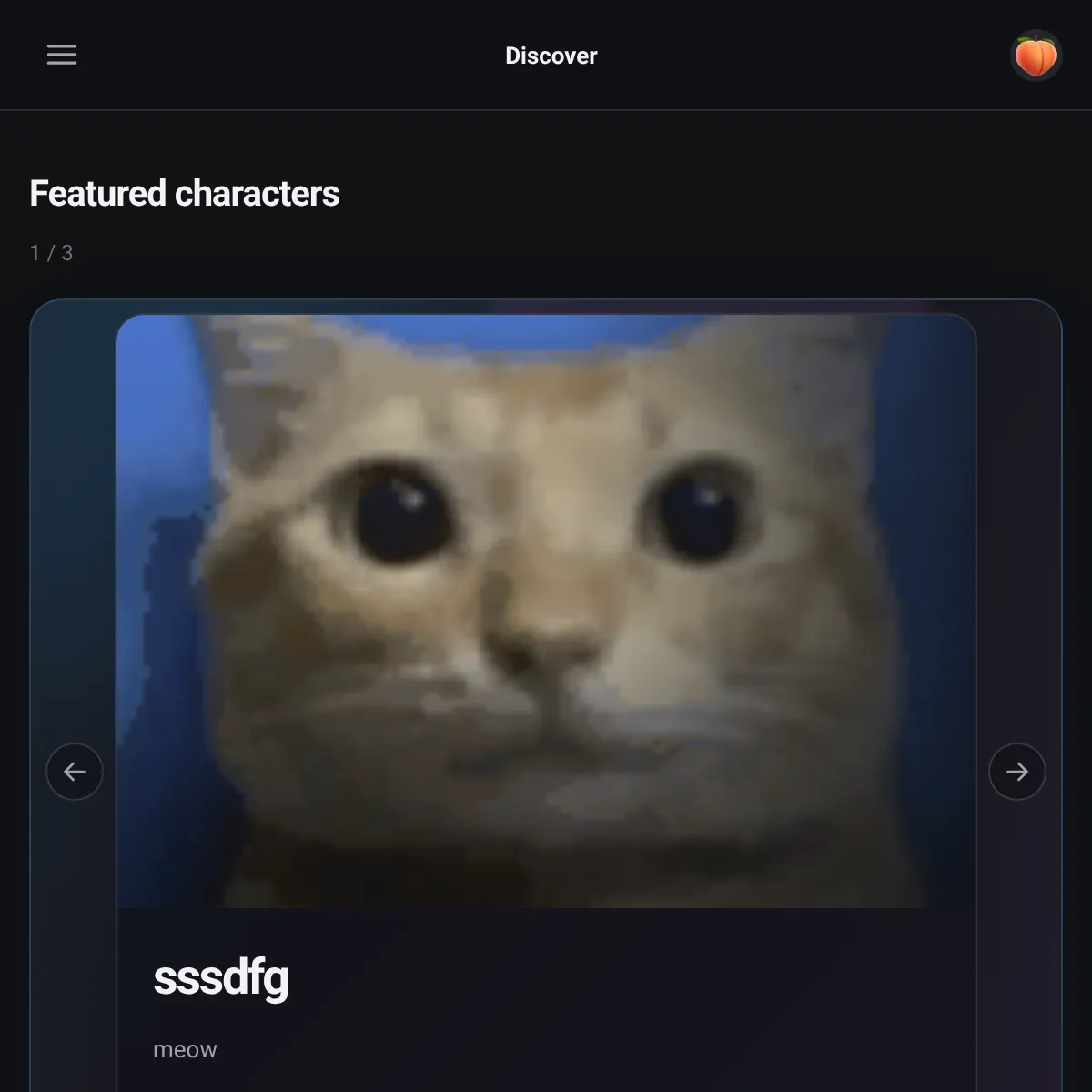 the project is loading