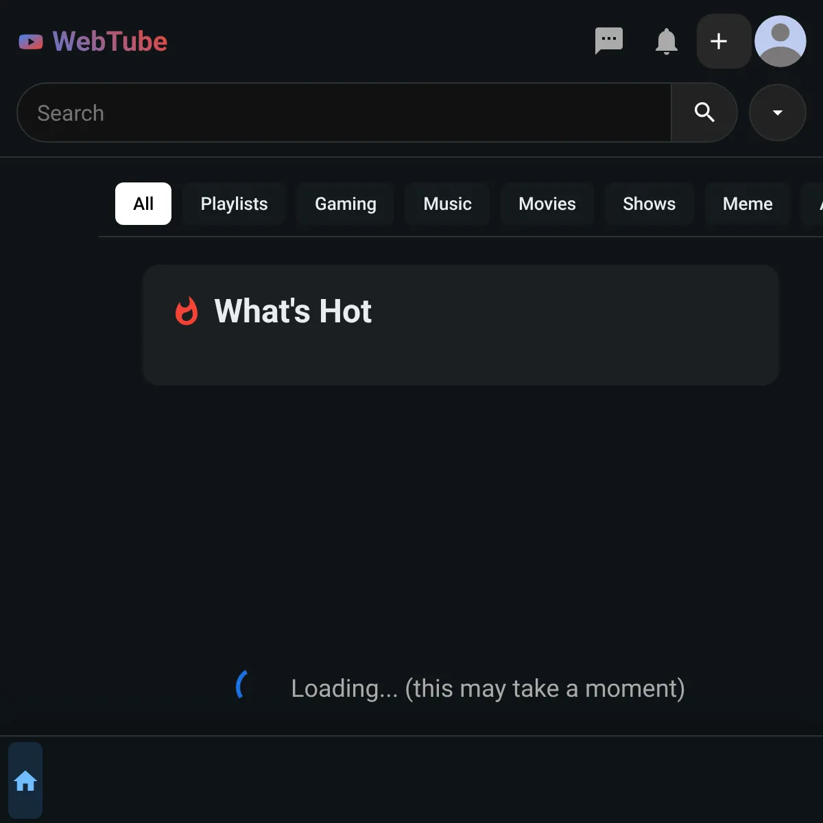 the project is loading