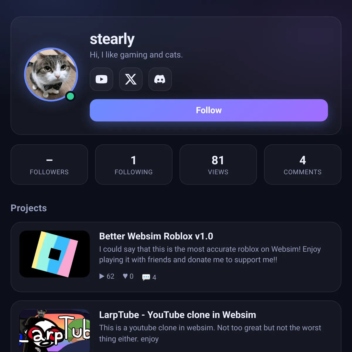 the project is loading
