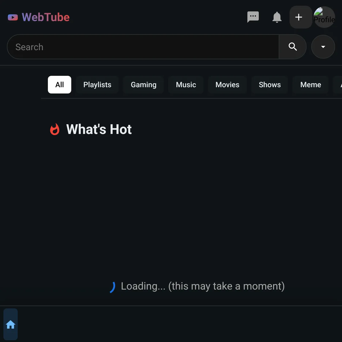 the project is loading